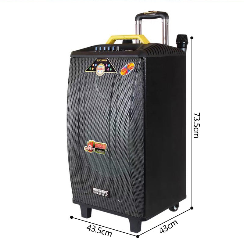 Temeisheng Portable Powered Trolley Speaker Qx-1214