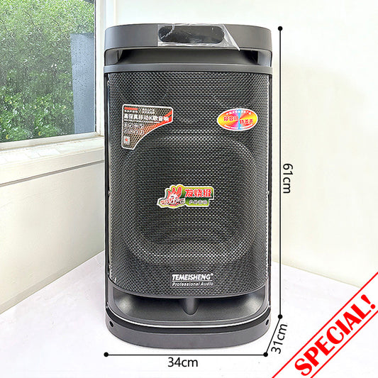 Temeisheng Wireles Hand Mic Trolley Speaker 10291