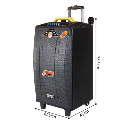 Temeisheng Portable Powered Trolley Speaker Qx-1214