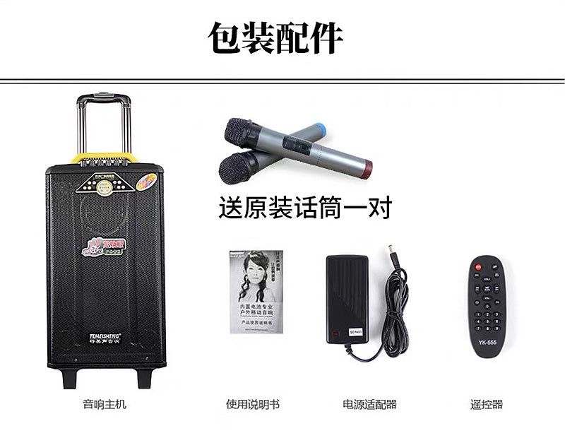 Temeisheng Portable Powered Trolley Speaker Qx-1214