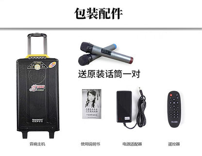 Temeisheng Portable Powered Trolley Speaker Qx-1214