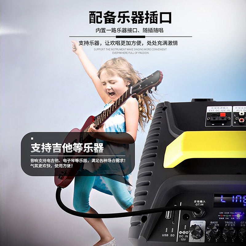 Temeisheng Portable Powered Trolley Speaker Qx-1214