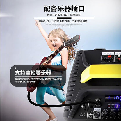 Temeisheng Portable Powered Trolley Speaker Qx-1214