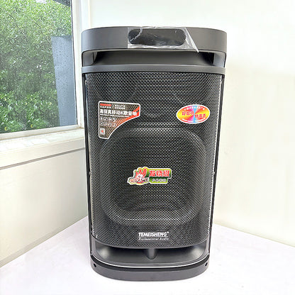 Temeisheng Wireles Hand Mic Trolley Speaker 10291