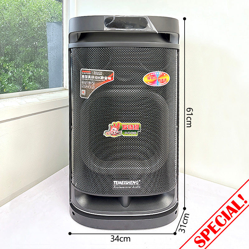 Temeisheng Wireles Hand Mic Trolley Speaker 10291