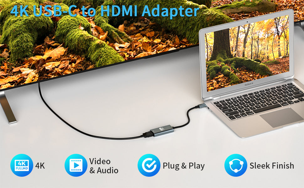 USB 3.1-C Type-C to HDTV Adapter