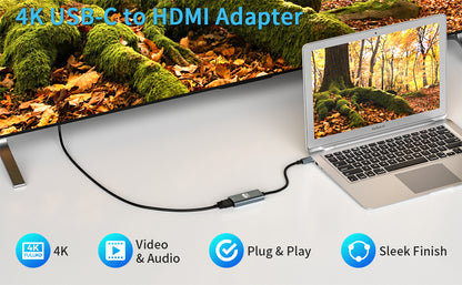 USB 3.1-C Type-C to HDTV Adapter