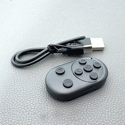 Maxguard Wireless Remote Control MR01