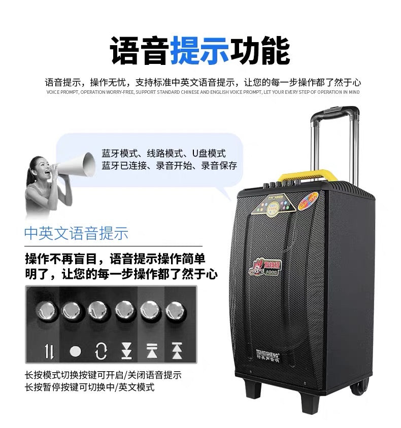 Temeisheng Portable Powered Trolley Speaker Qx-1214