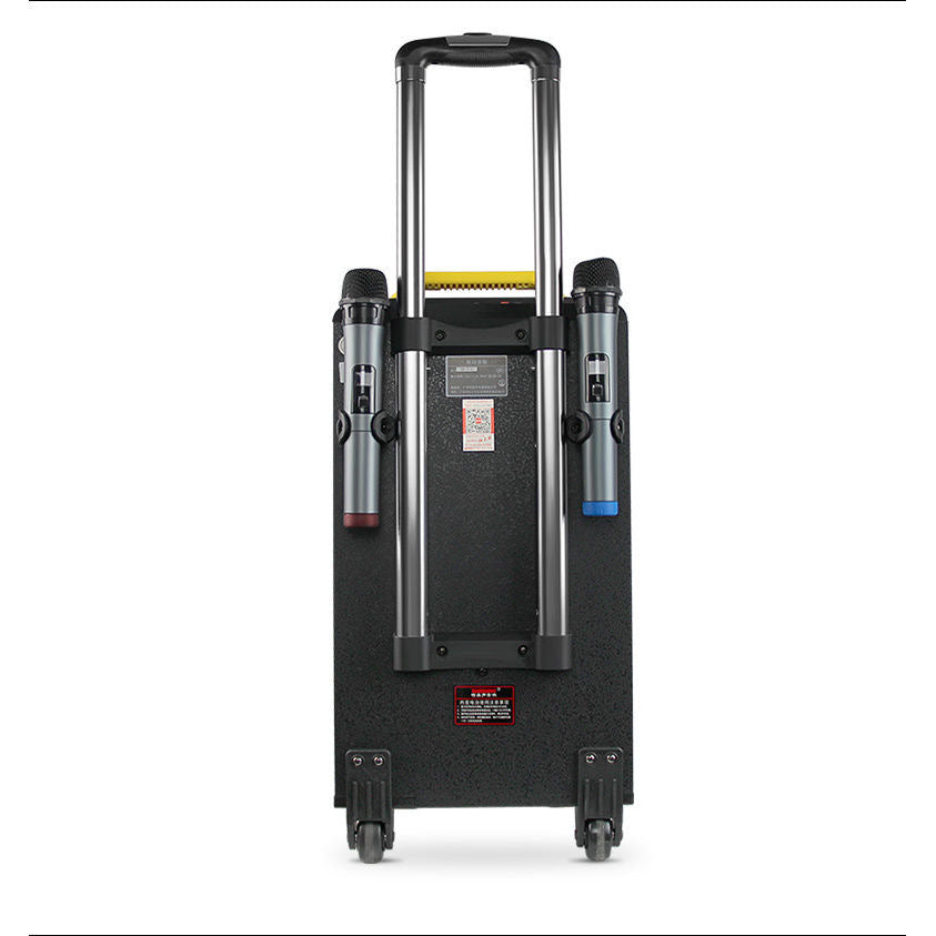 Temeisheng Portable Powered Trolley Speaker Qx-1214